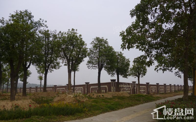 东方绿岛实景图