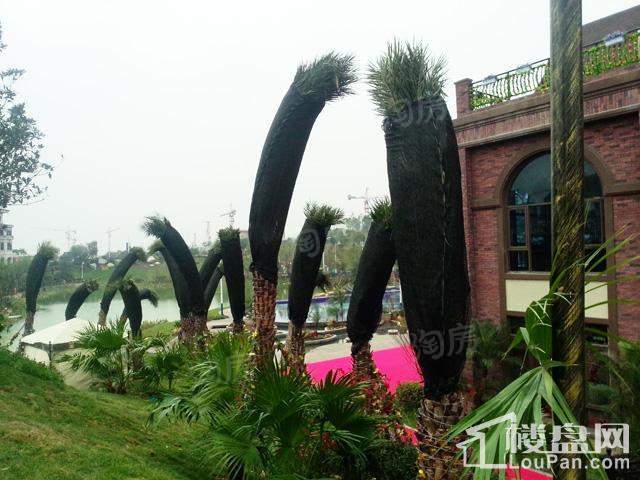 花溪碧桂园实景图