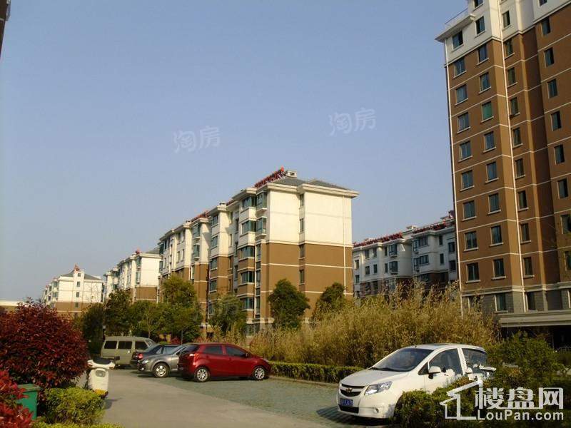东城佳园实景图