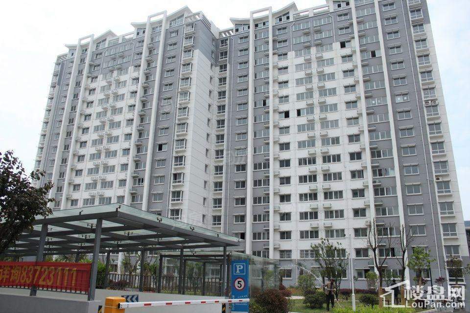 实景图