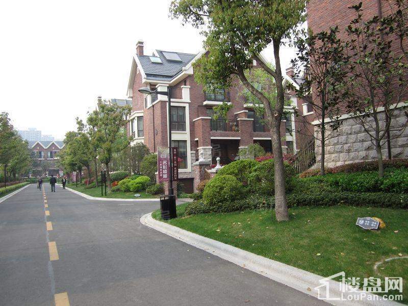维科格兰花园实景图