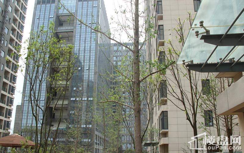 中物科技园实景图