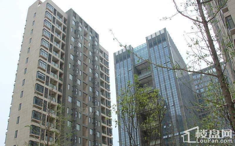 中物科技园实景图