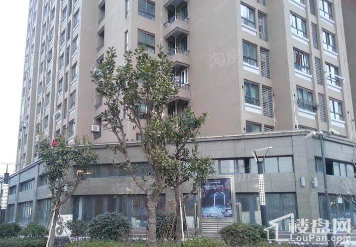 中物科技园配套图