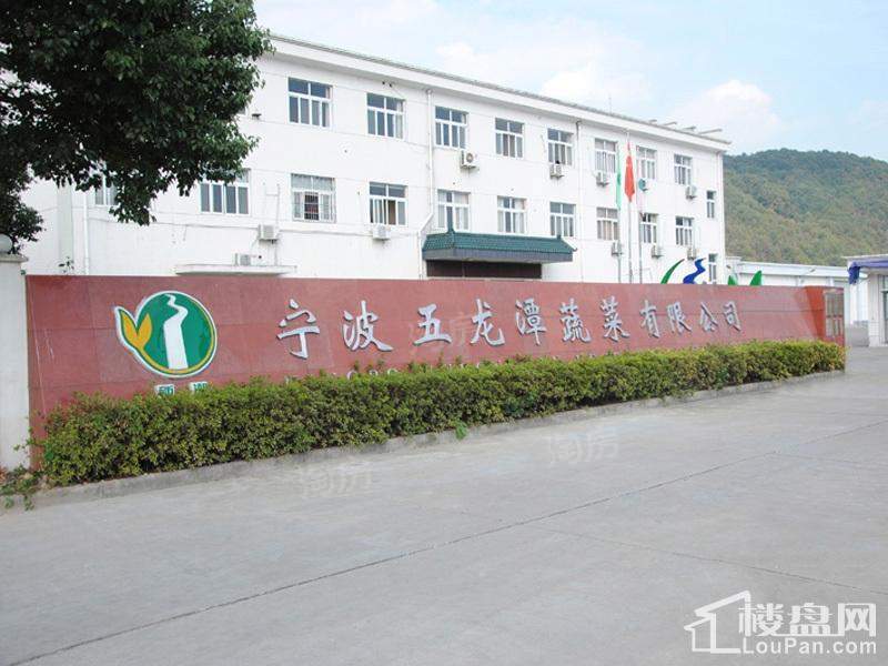 配套图