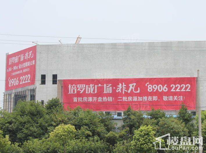 实景图
