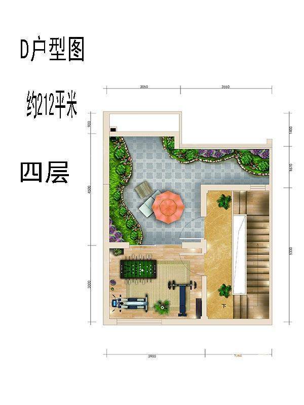 D户型四层