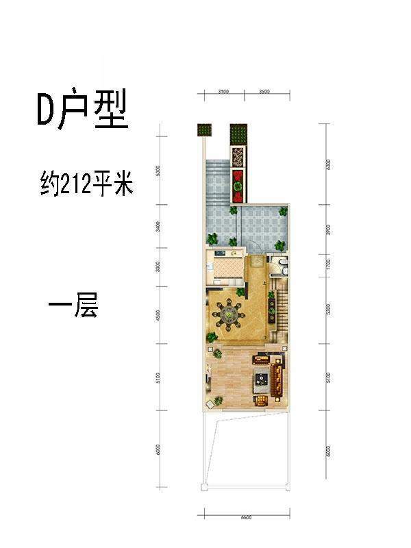 D户型一层