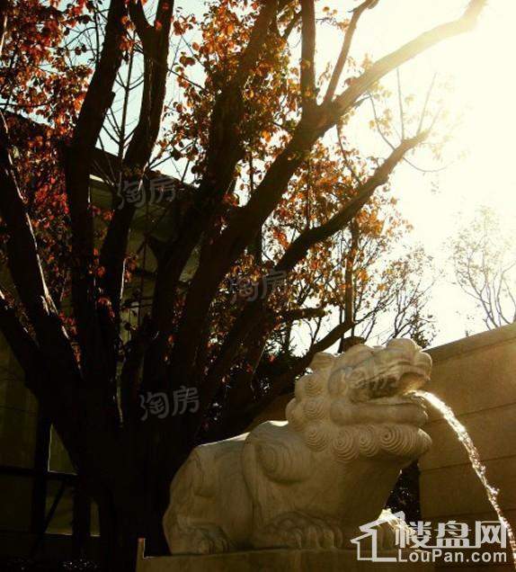 紫辰院实景图