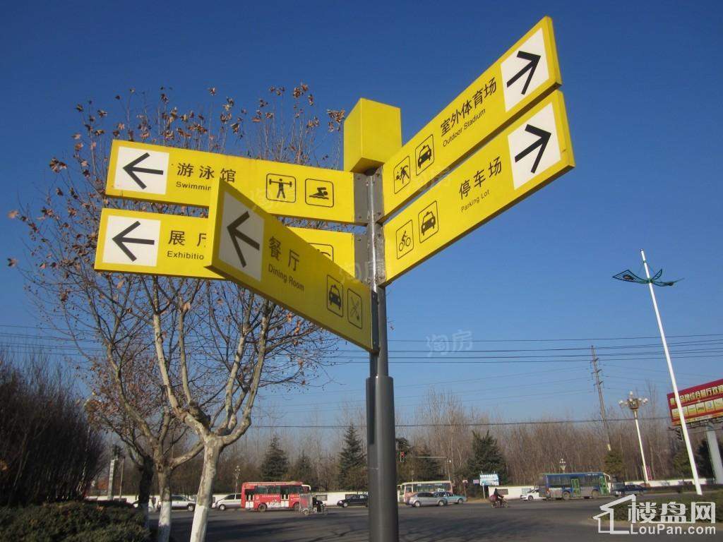 奥体国际星城实景图