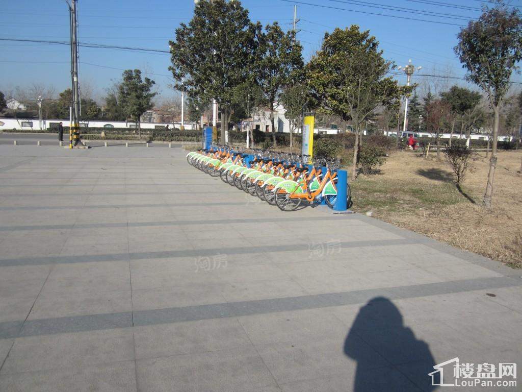 奥体国际星城实景图