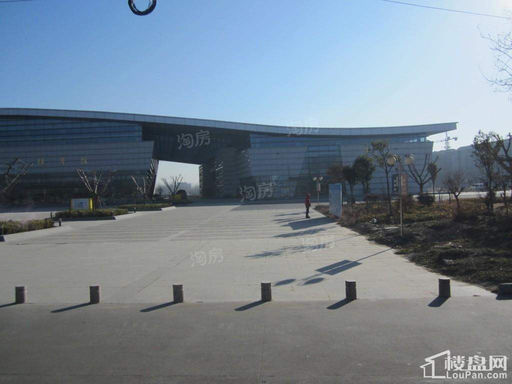 奥体国际星城实景图