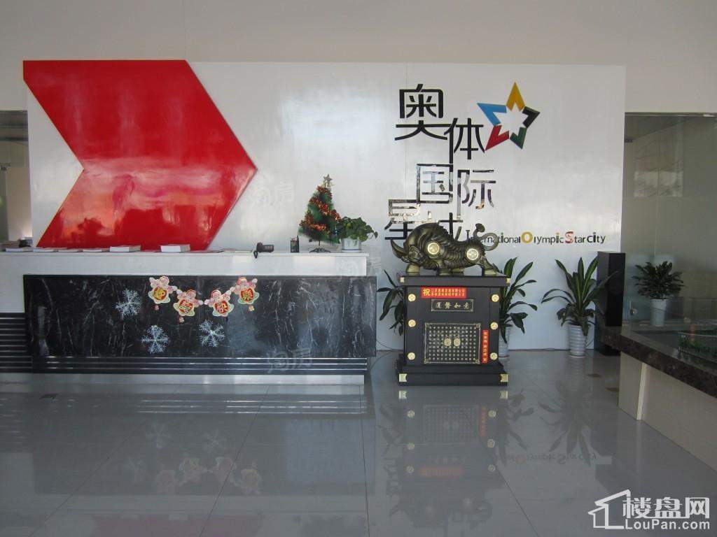 奥体国际星城实景图