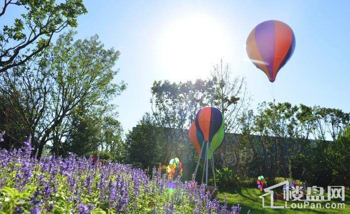 亦庄金茂悦实景图