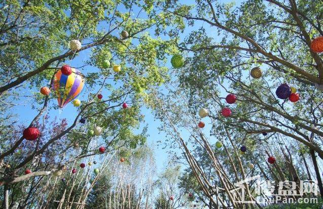 亦庄金茂悦实景图