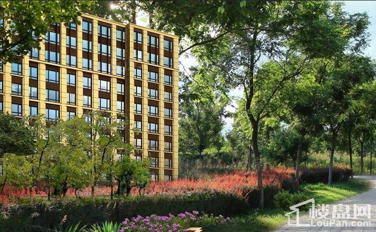 亦庄金茂悦实景图