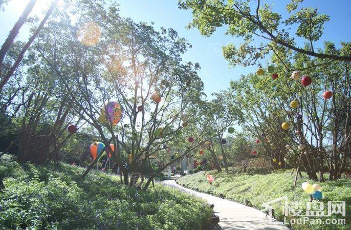 亦庄金茂悦实景图