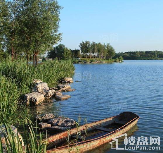 亦庄金茂悦配套图