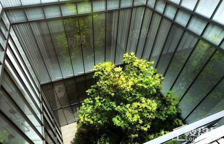实景图