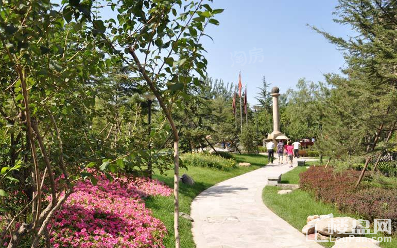 京贸国际城实景图