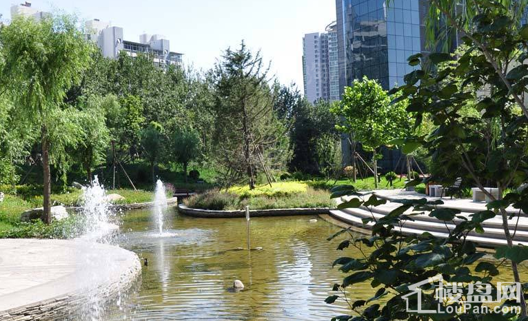 实景图