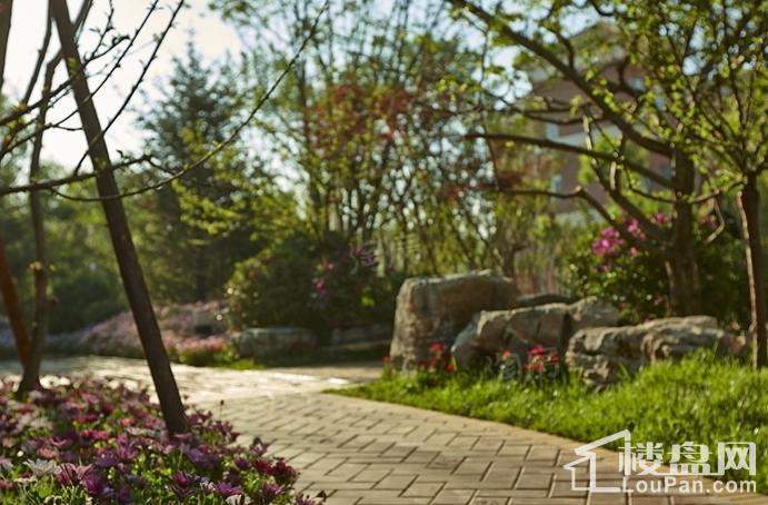 和成璟园实景图