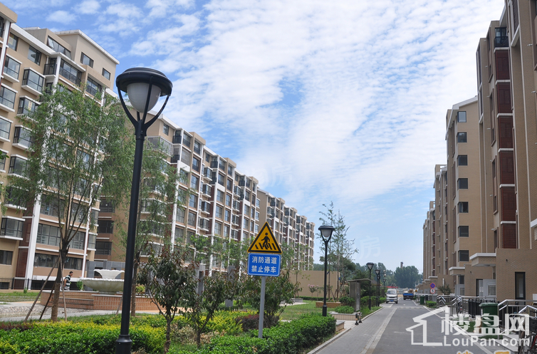长阳光和作用实景图