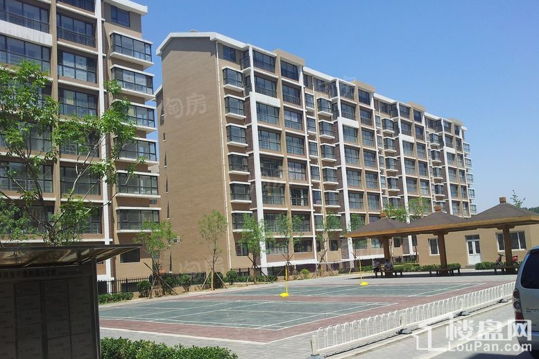 长阳光和作用实景图
