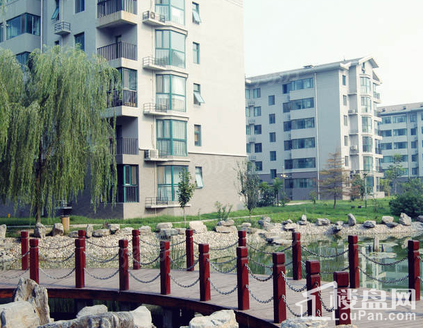 水墨林溪实景图
