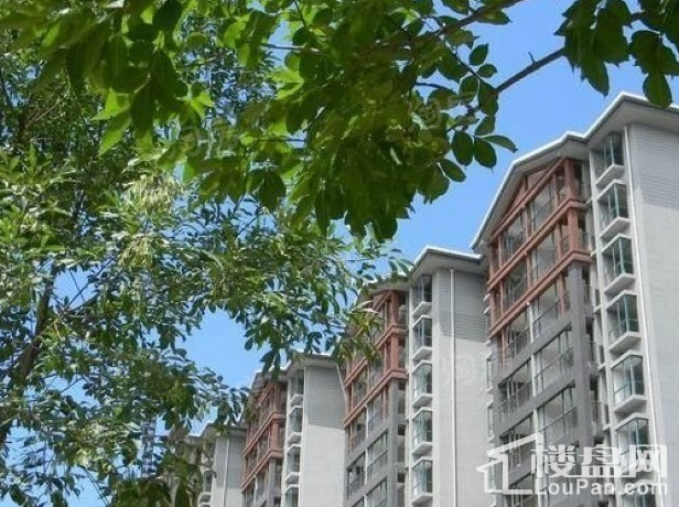 水墨林溪实景图