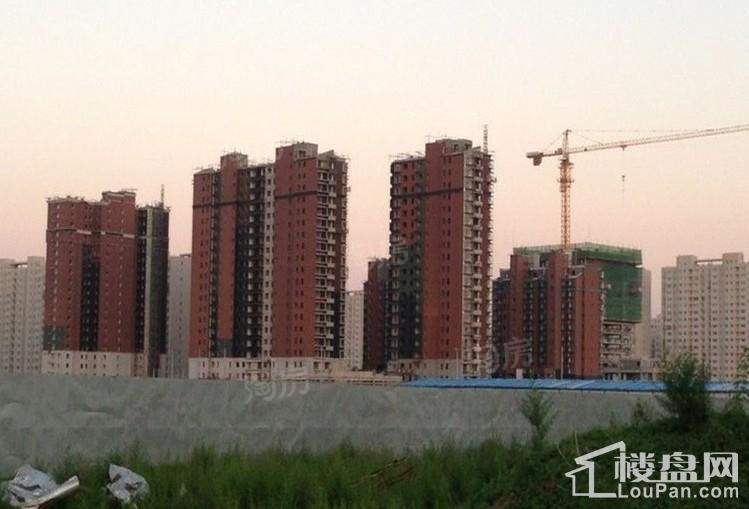实景图