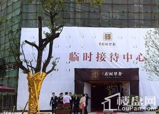 中维月湖琴声实景图