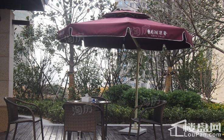 中维月湖琴声实景图