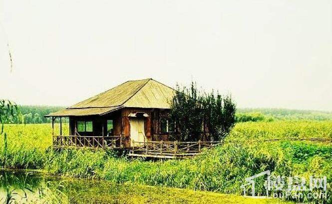 浅山香邑配套图