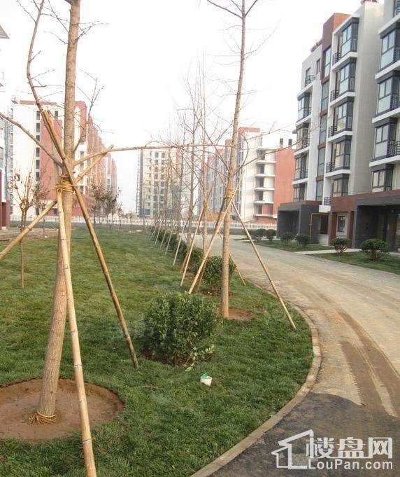 北京风景实景图