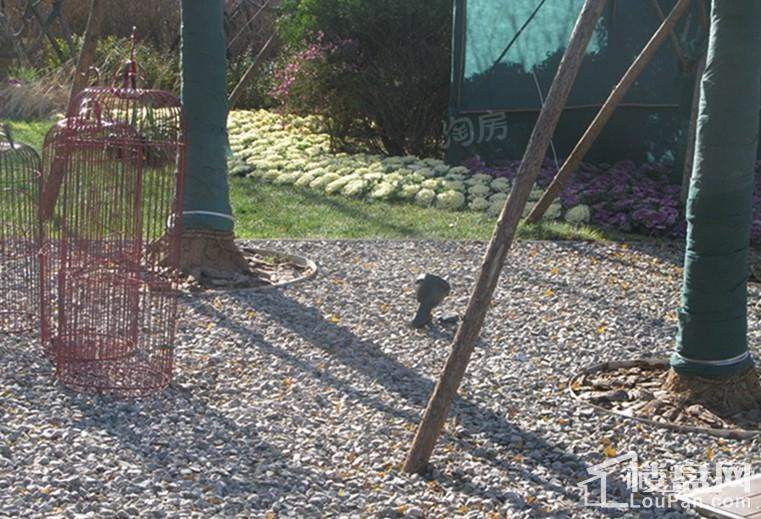 万科·翡翠四季实景图