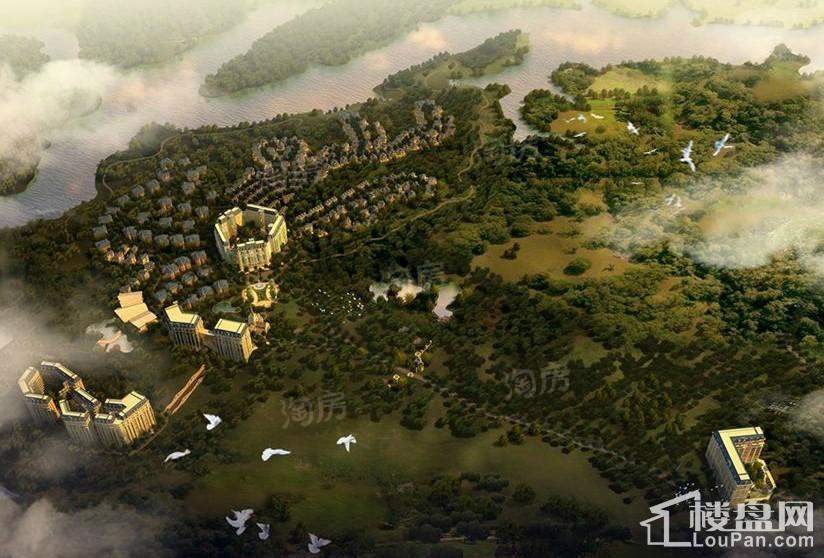 神力迦南美地效果图