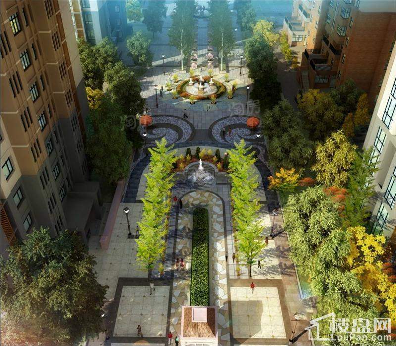 实景图
