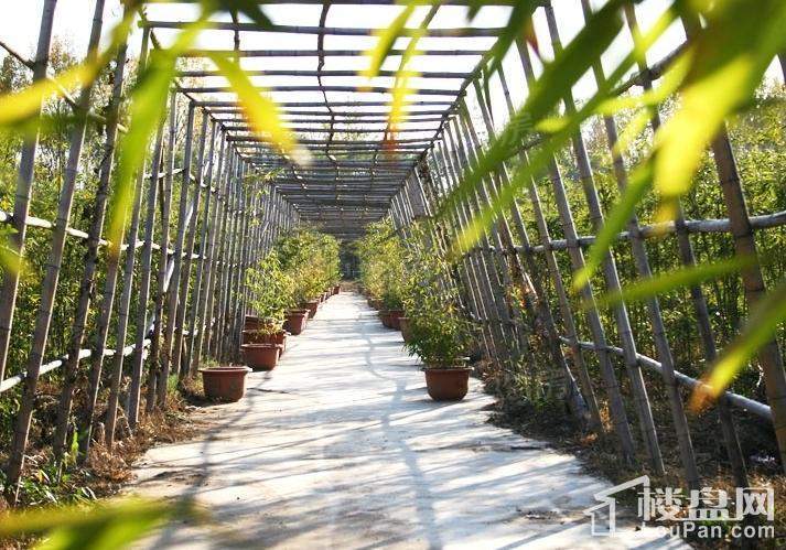 香江别墅实景图
