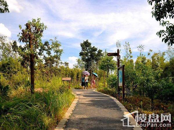 中国电建湘熙水郡配套图