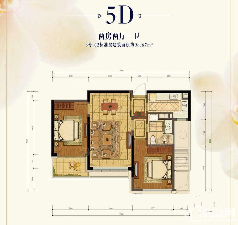 5D户型