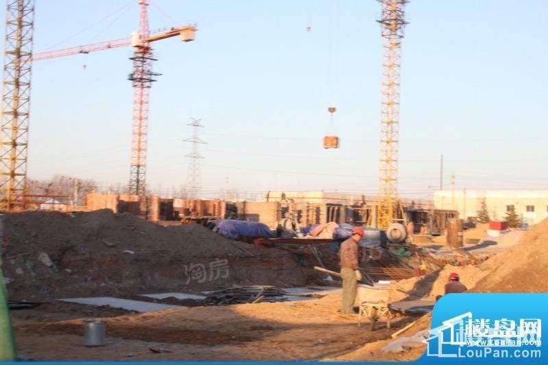 新城花园实景图