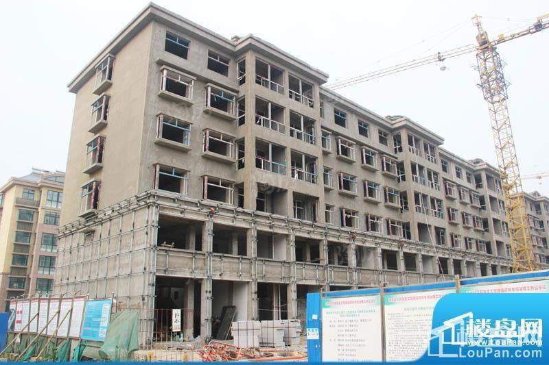 新城花园实景图