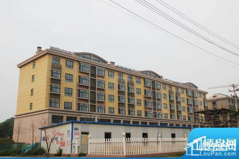 新城花园实景图