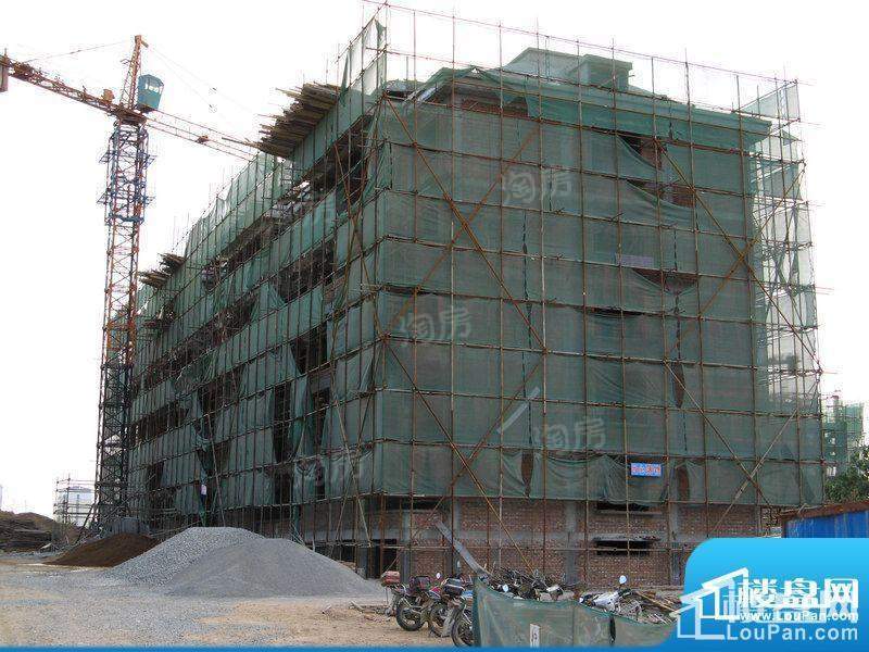 新城花园实景图