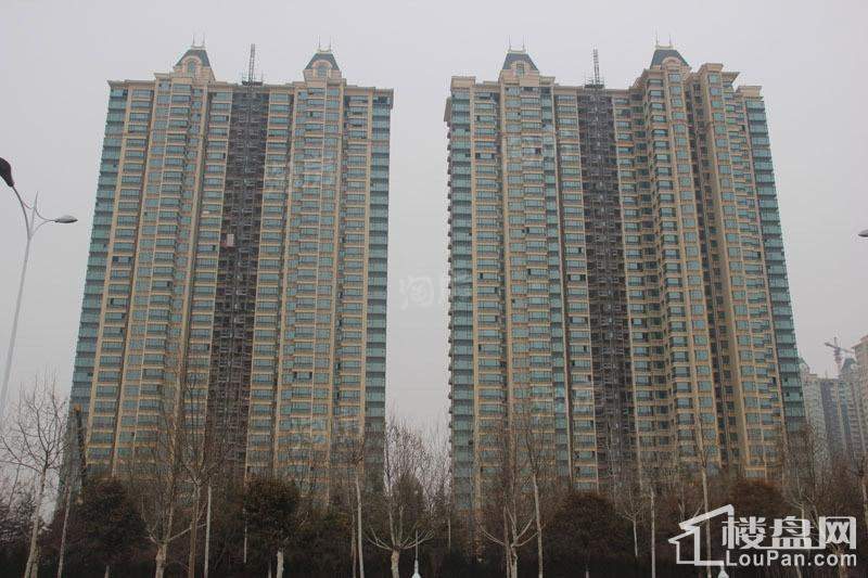 实景图