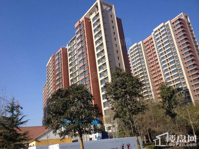 实景图