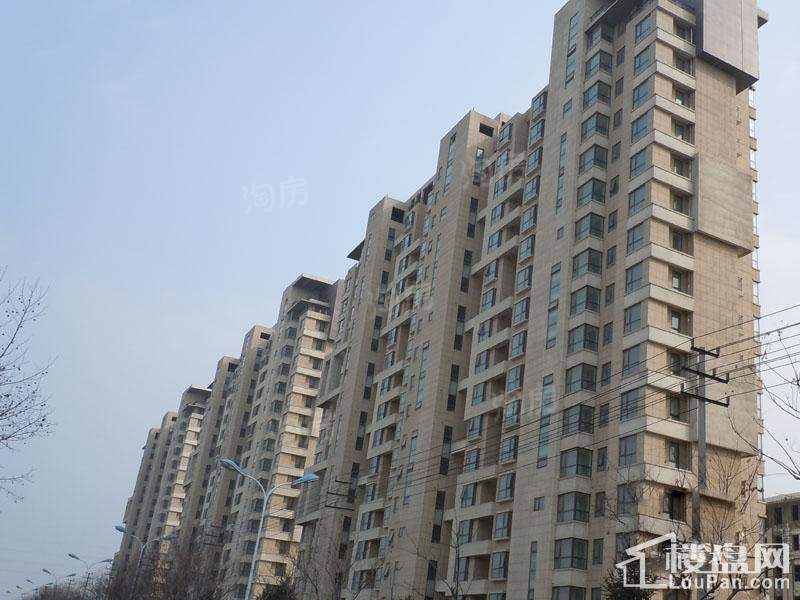 弘润金茂府实景图