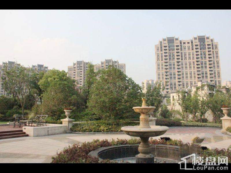 实景图