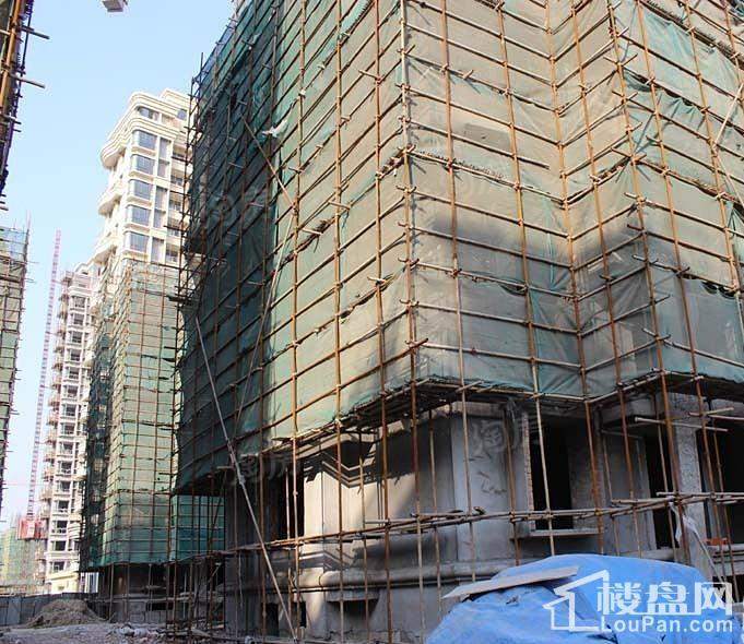 中科.碧水豪庭实景图
